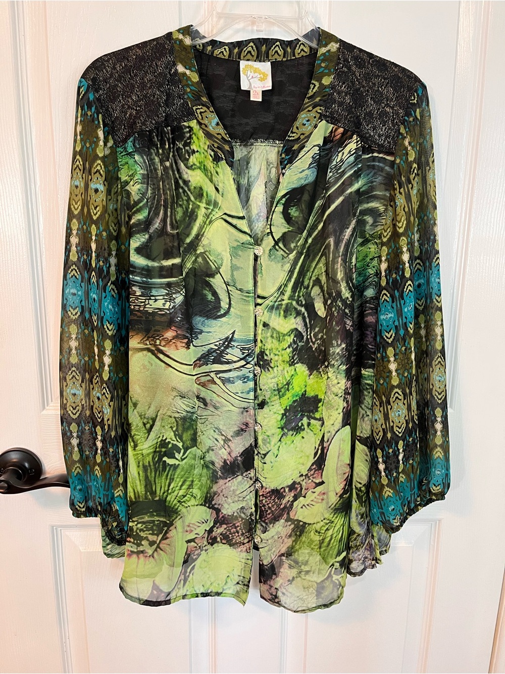 Fig and Flower Sheer Floral Lace Blouse 2X Fairy Grunge Whimsigoth Peasant Green